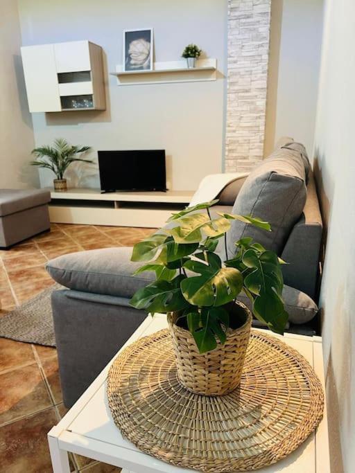 Casa El Pino B Apartment Vera de Erque Luaran gambar